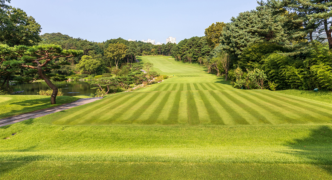 남서울컨트리클럽 골프장 예약 이미지 4