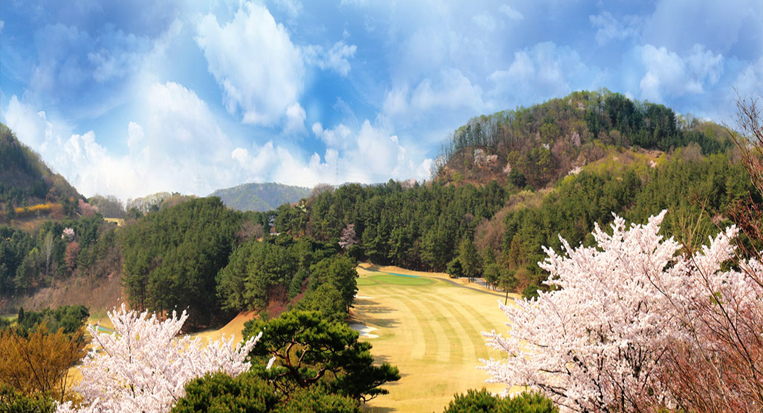 기흥컨트리클럽 골프장 예약 이미지 3