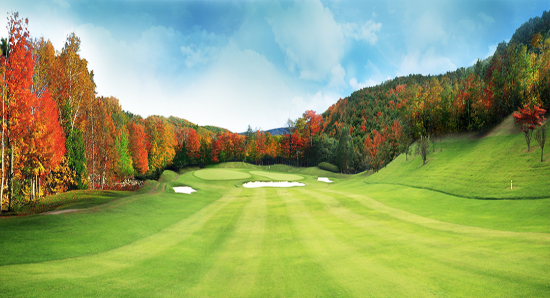 기흥컨트리클럽 골프장 예약 이미지 4