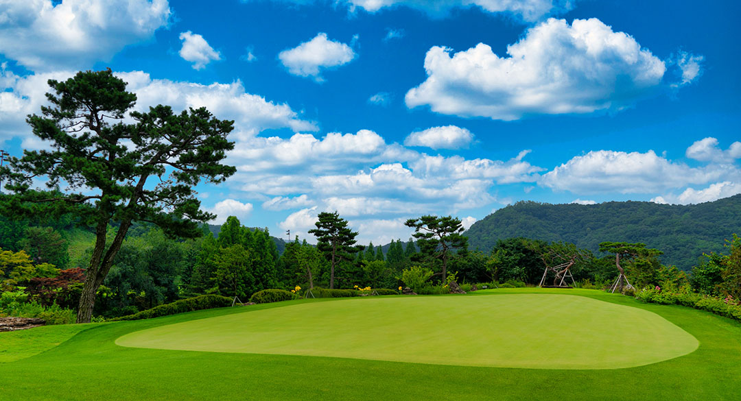 H1 클럽 골프장 예약 이미지 1