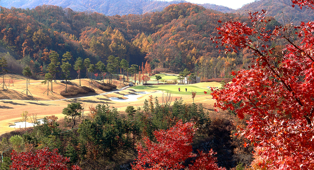 소피아그린컨트리클럽 골프장 예약 이미지 1