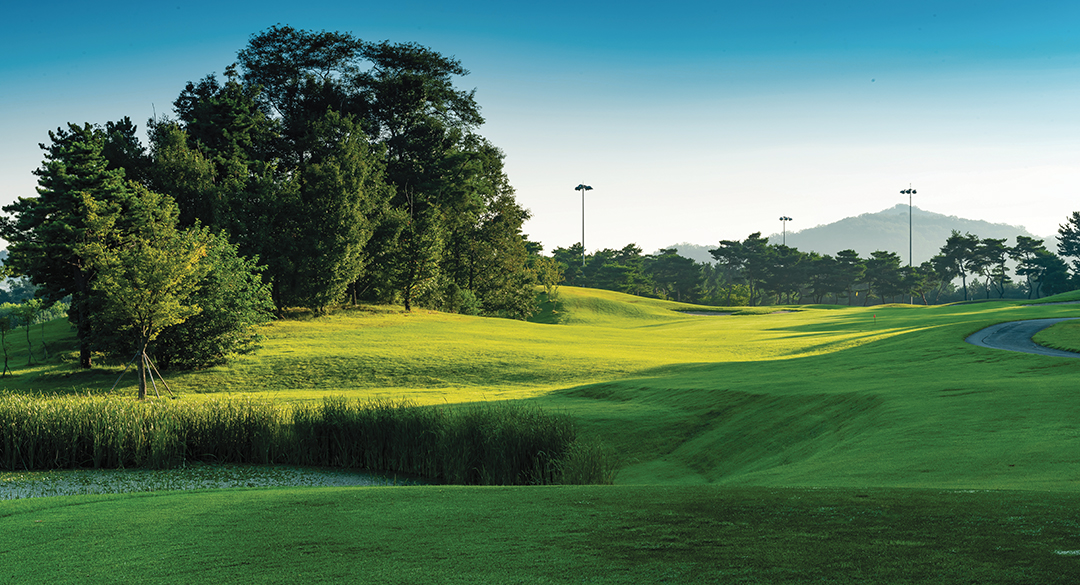 아리지컨트리클럽 골프장 예약 이미지 5