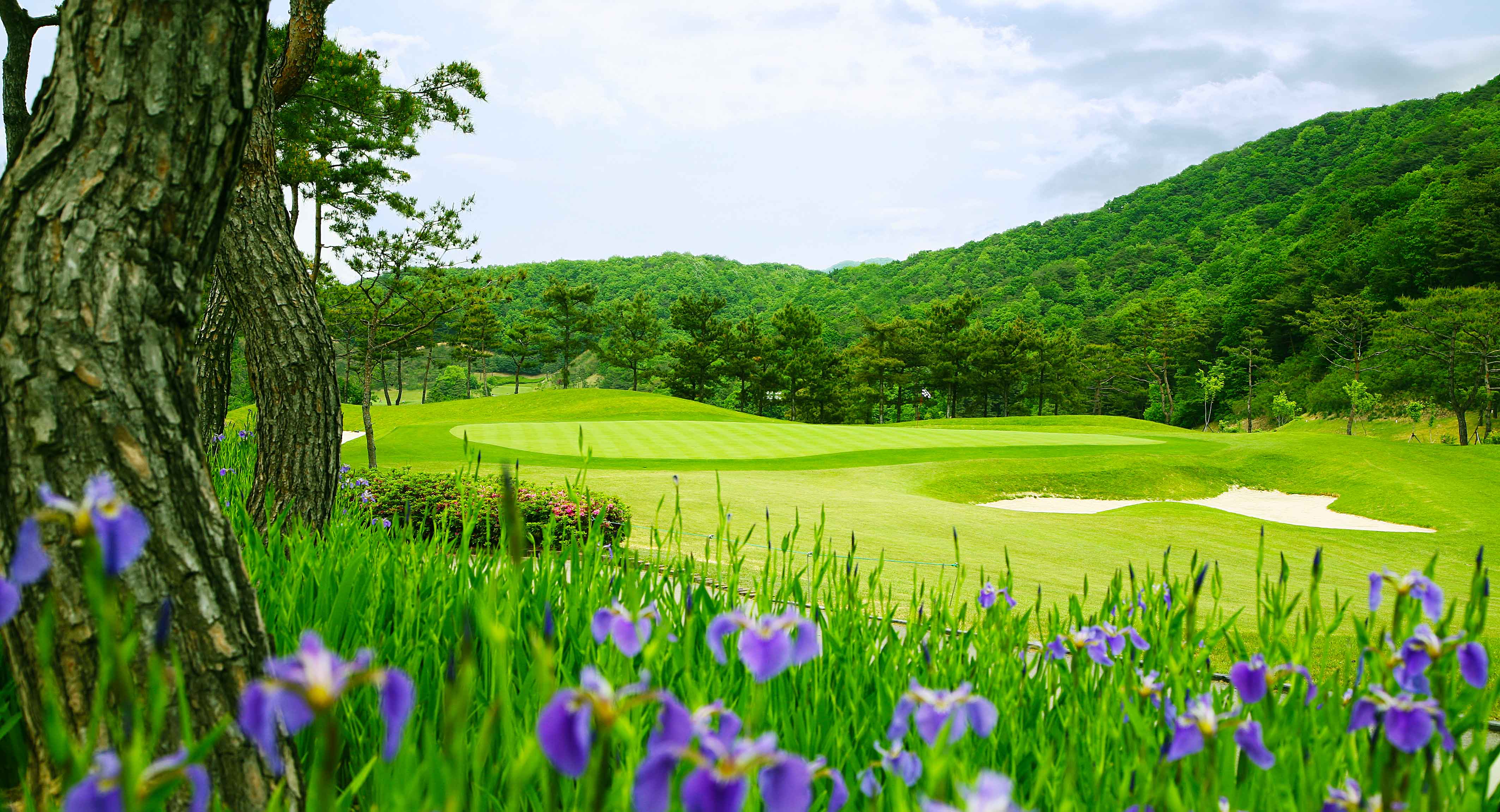 스카이밸리컨트리클럽 골프장 예약 이미지 7