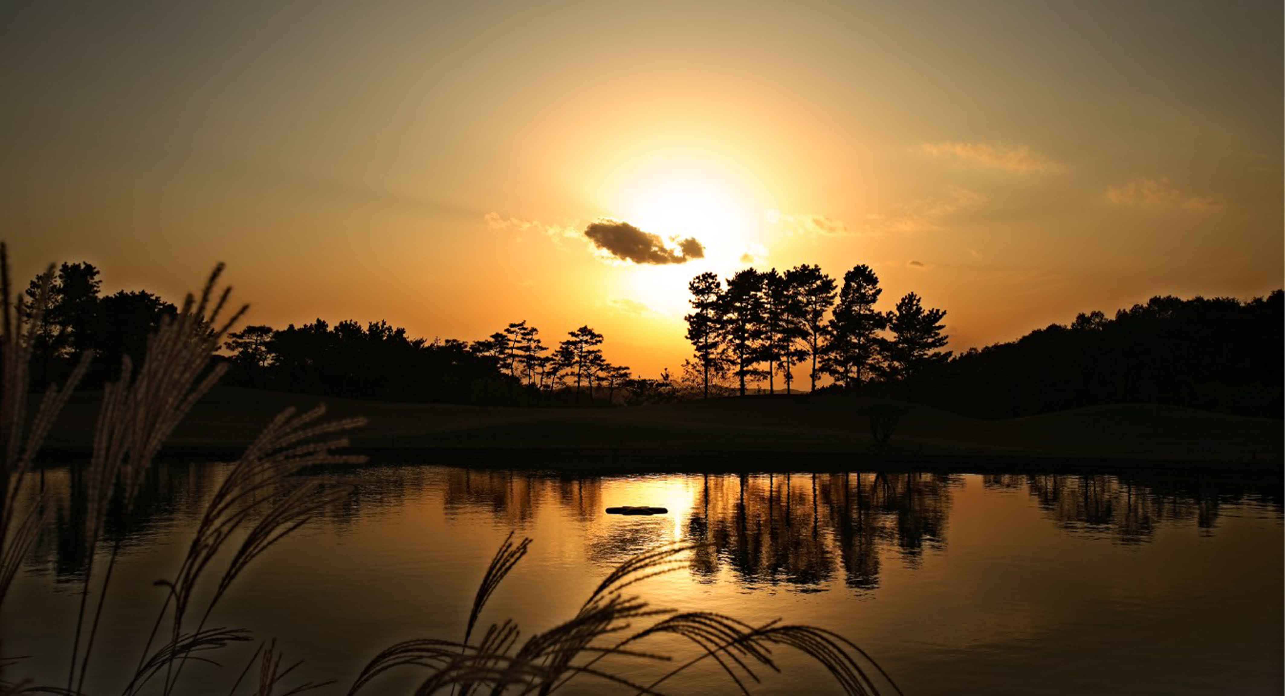 스카이밸리컨트리클럽 골프장 예약 이미지 9