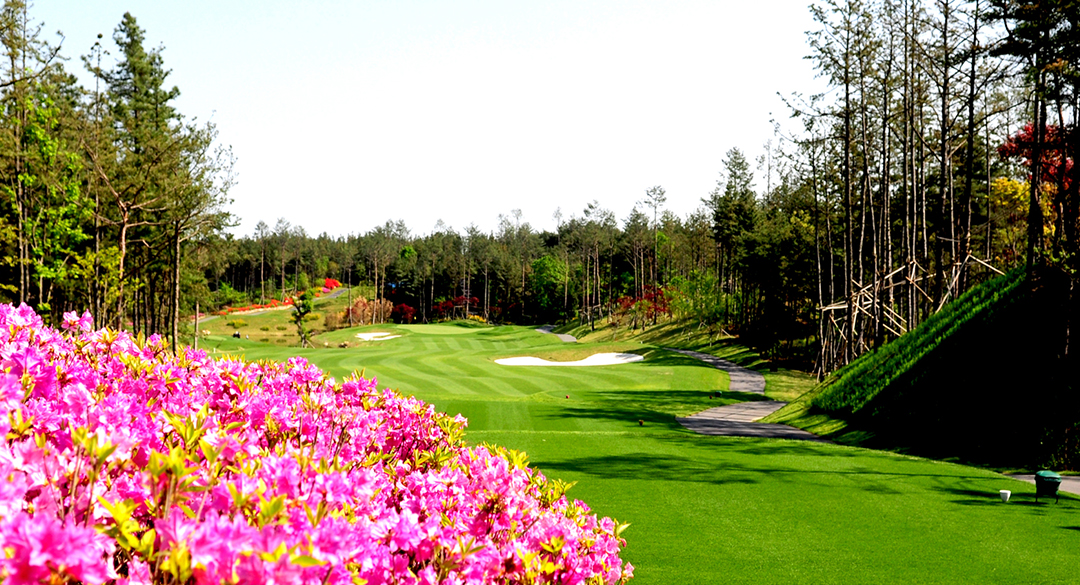 세라지오골프클럽 골프장 예약 이미지 4