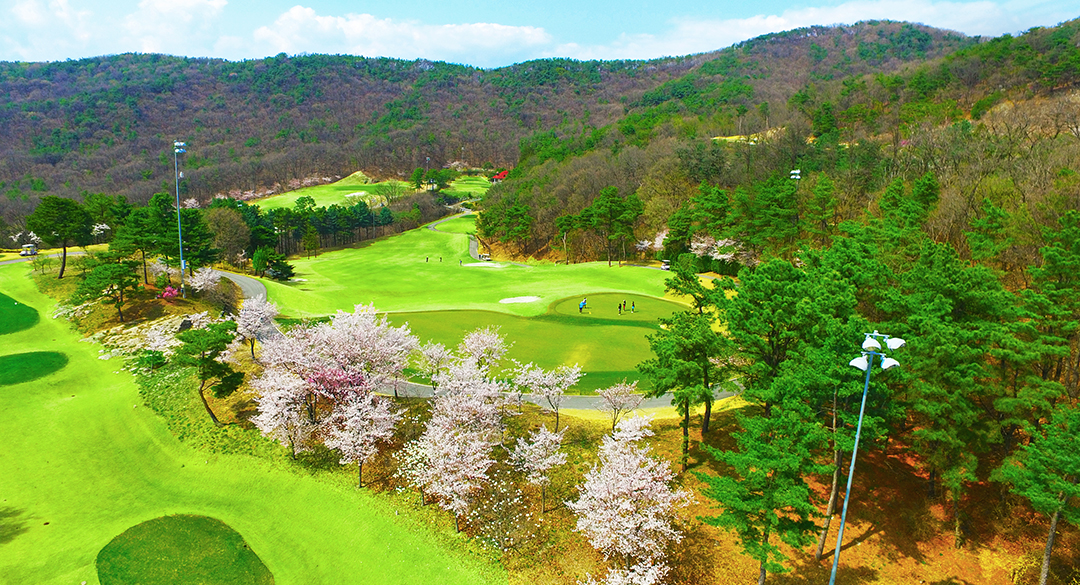 여주컨트리클럽 골프장 예약 이미지 6