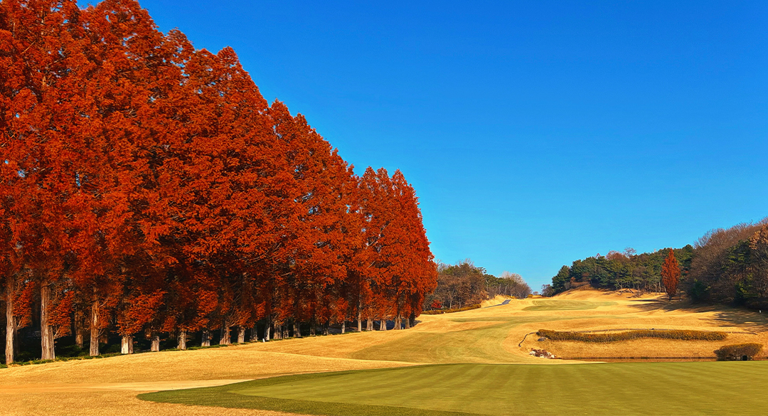 자유CC컨트리클럽 골프장 예약 이미지 6