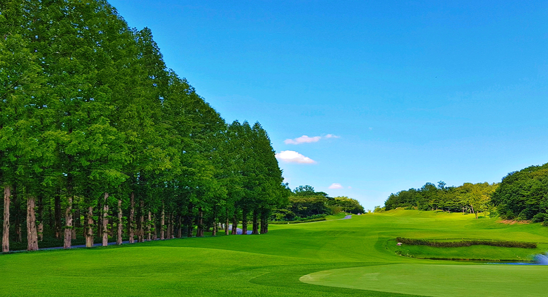 자유CC컨트리클럽 골프장 예약 이미지 5