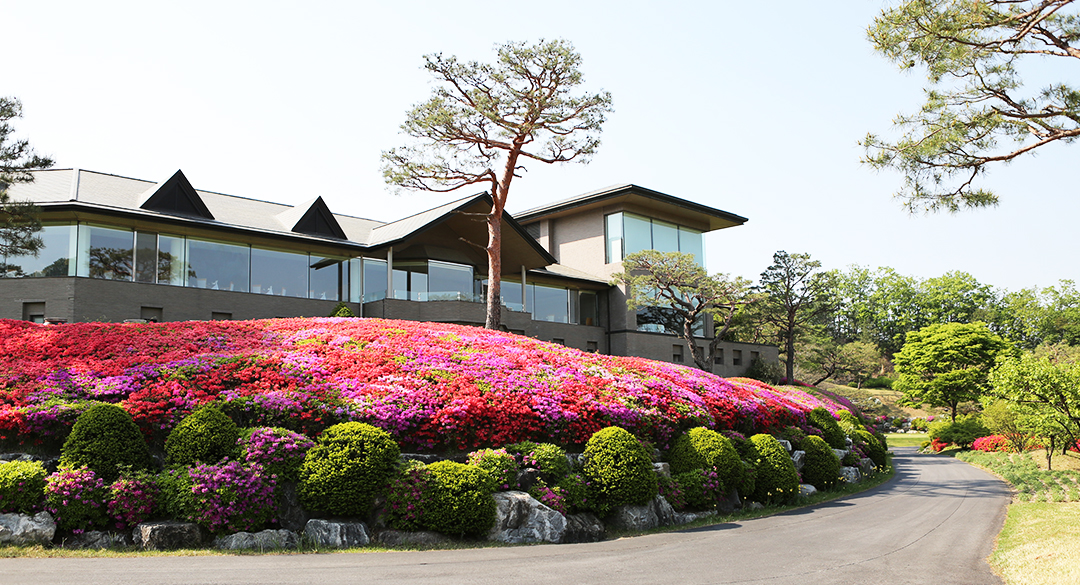 엘리시안강촌컨트리클럽 골프장 예약 이미지 5