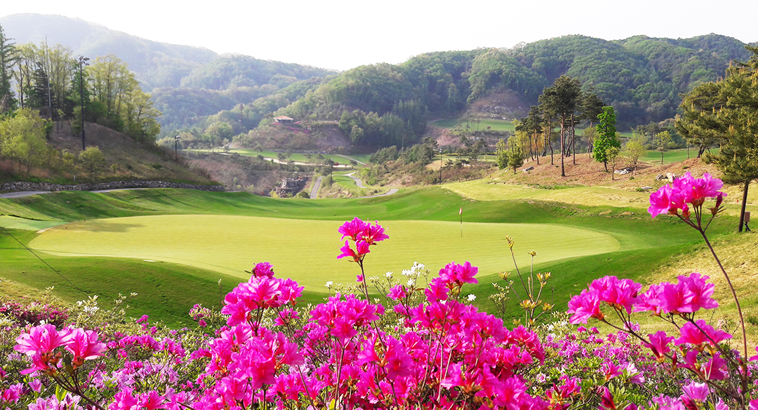 오너스골프클럽 골프장 예약 이미지 2
