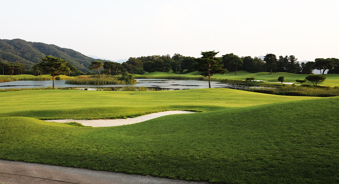 센추리21(P)컨트리클럽 골프장 예약 이미지 3