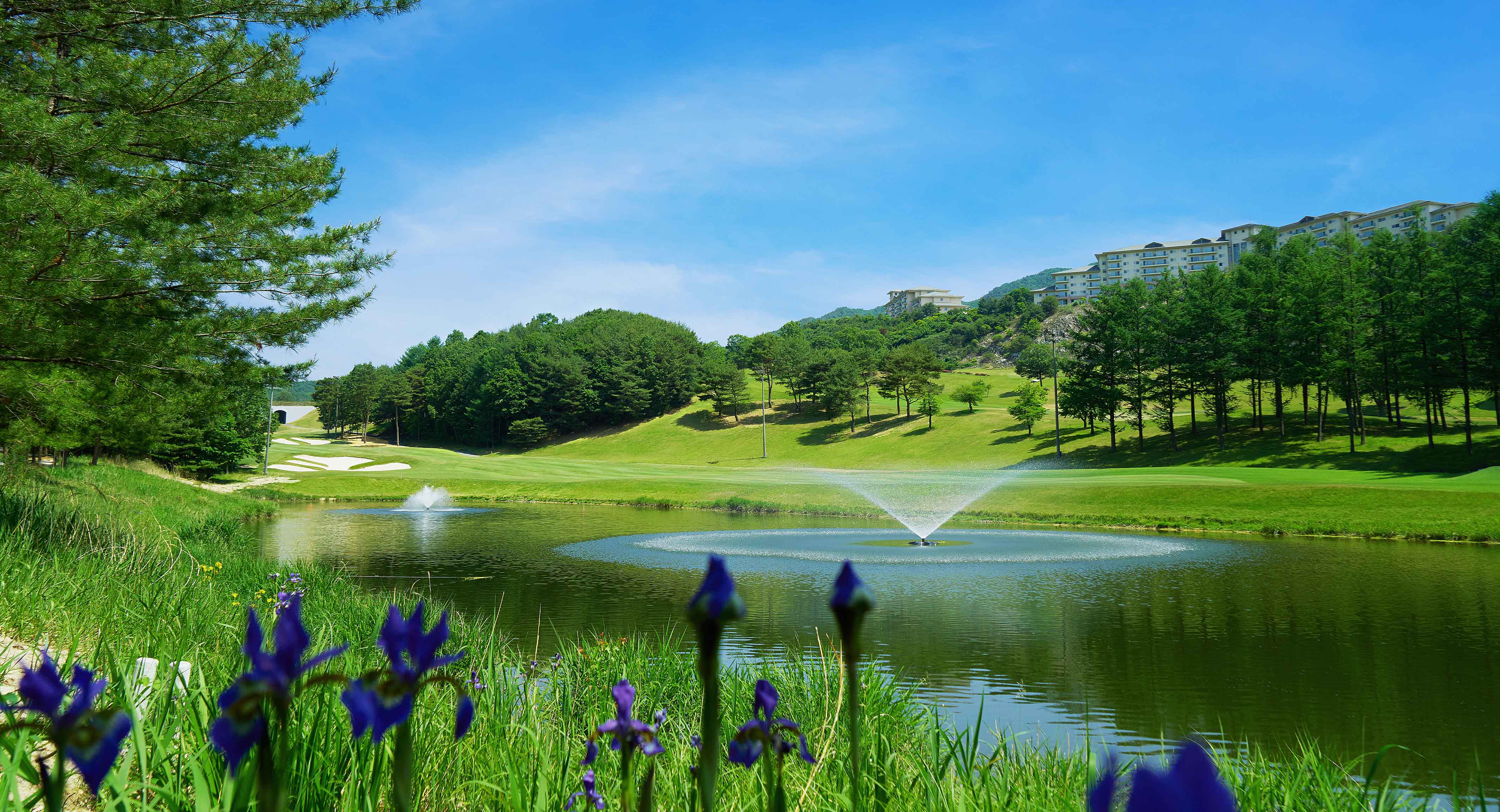 오크밸리골프클럽 골프장 예약 이미지 2