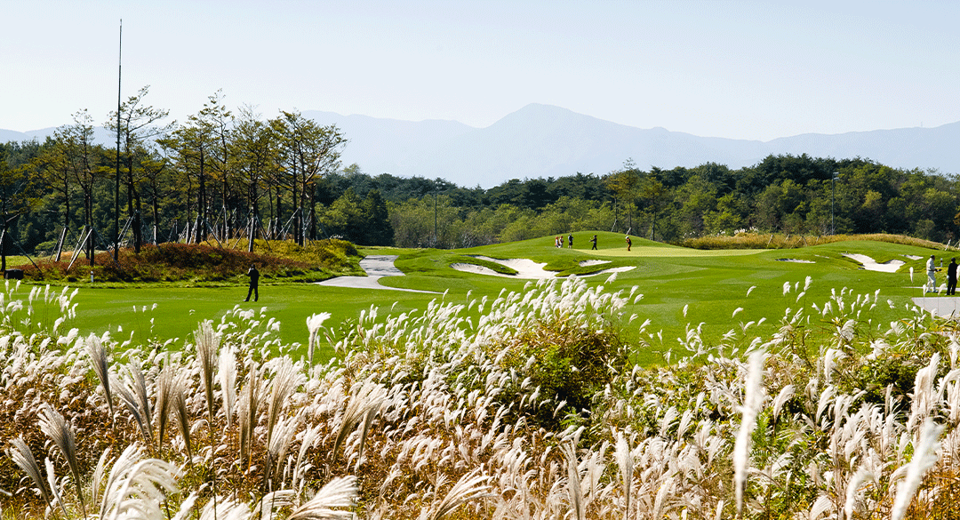 메이플비치골프앤리조트 골프장 예약 이미지 4