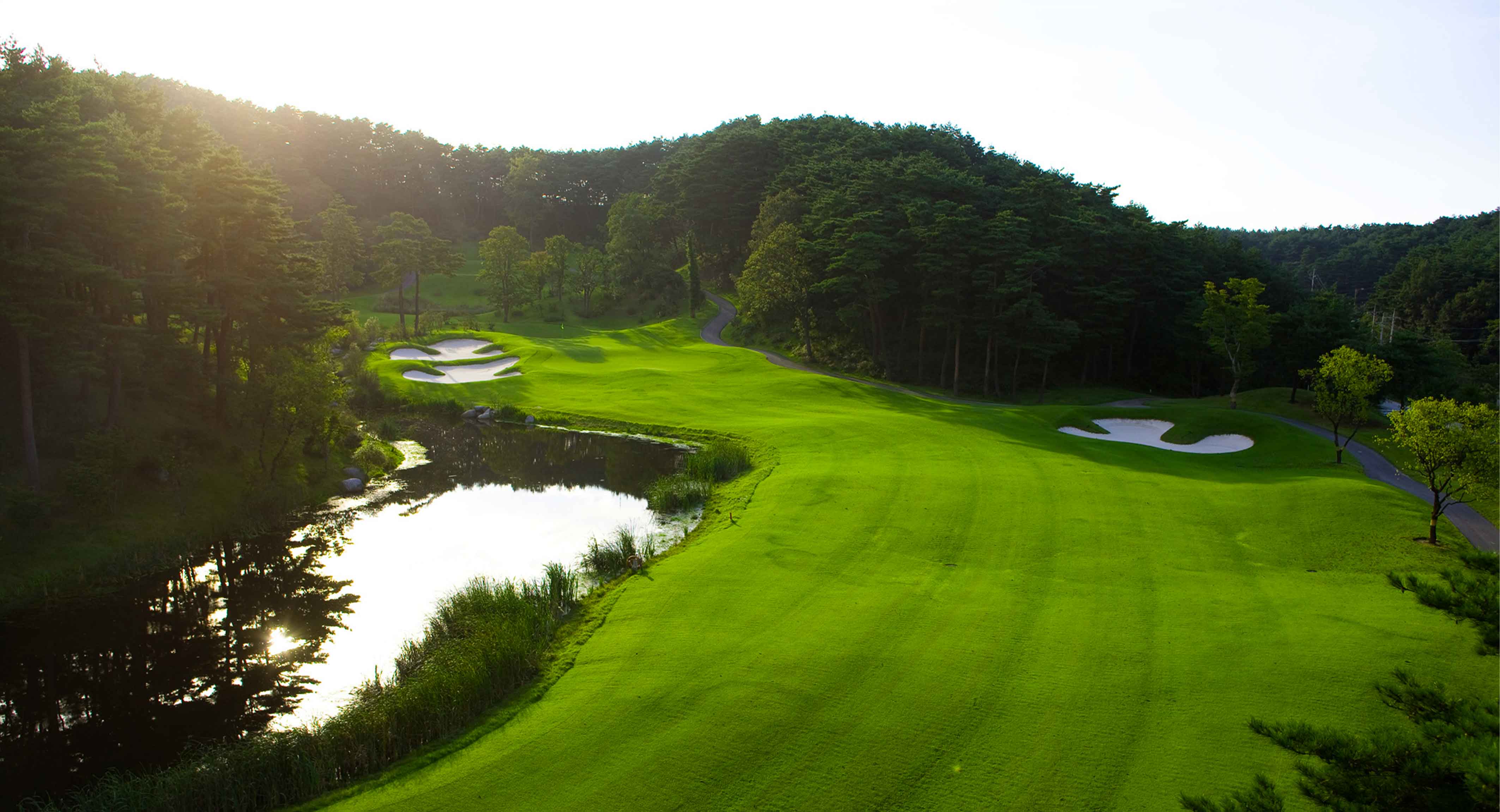 샌드파인골프클럽 골프장 예약 이미지 5