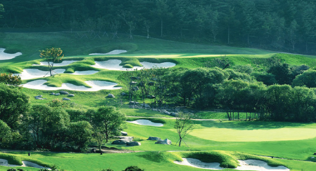 웰리힐리컨트리클럽 골프장 예약 이미지 5