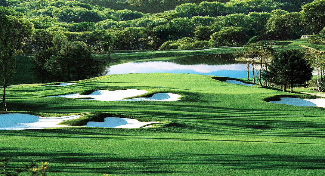 웰리힐리컨트리클럽 골프장 예약 이미지 4