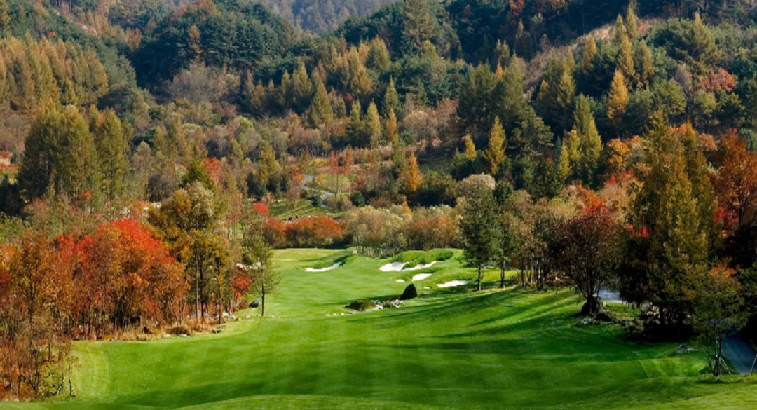 웰리힐리컨트리클럽 골프장 예약 이미지 3