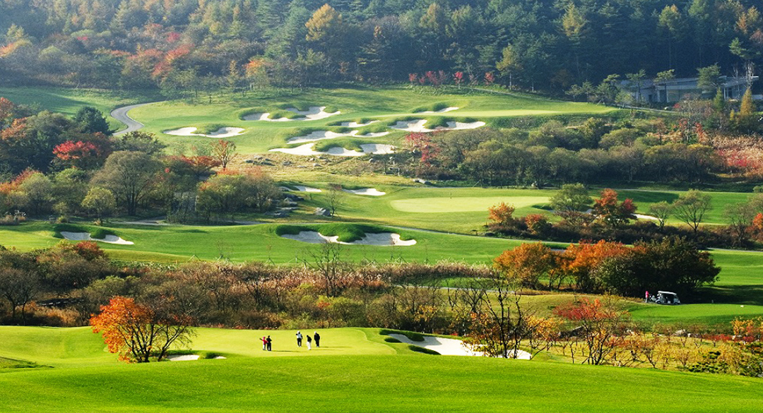 웰리힐리컨트리클럽 골프장 예약 이미지 2