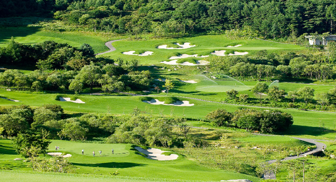 웰리힐리컨트리클럽 골프장 예약 이미지 6