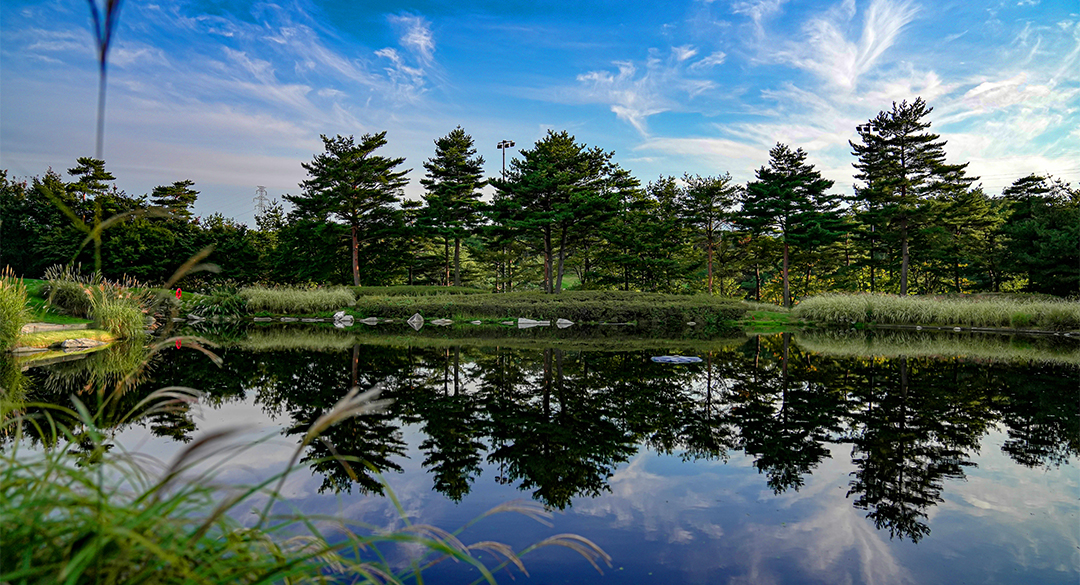 파인리즈골프앤리조트 골프장 예약 이미지 2