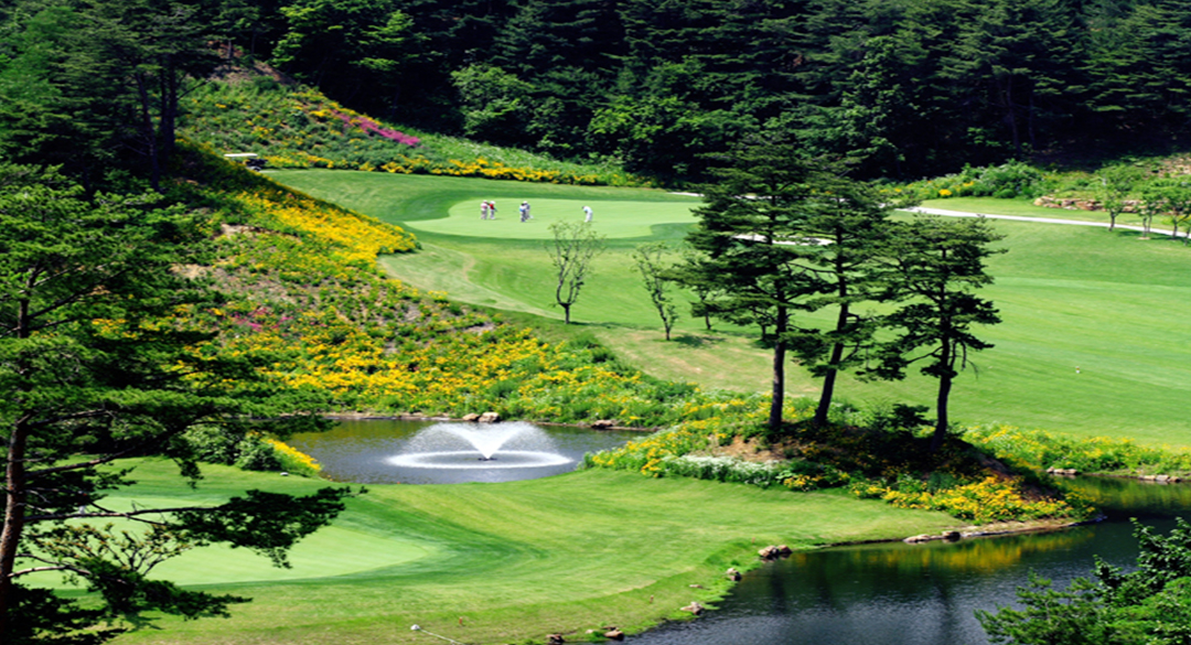 파인밸리컨트리클럽 골프장 예약 이미지 7