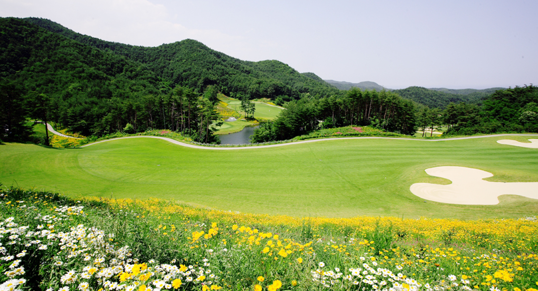 파인밸리컨트리클럽 골프장 예약 이미지 5