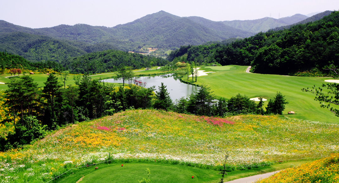파인밸리컨트리클럽 골프장 예약 이미지 6