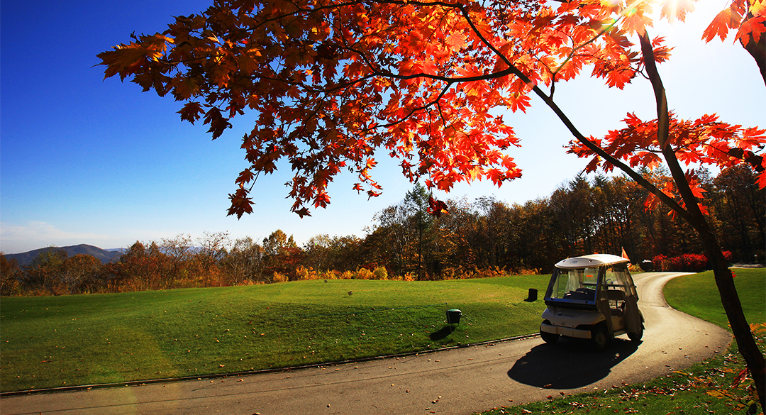 오투컨트리클럽 골프장 예약 이미지 4