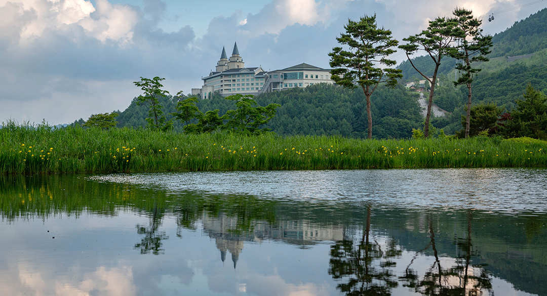 하이원 골프장 예약 이미지 4