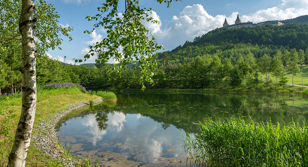 하이원 골프장 예약 이미지 5