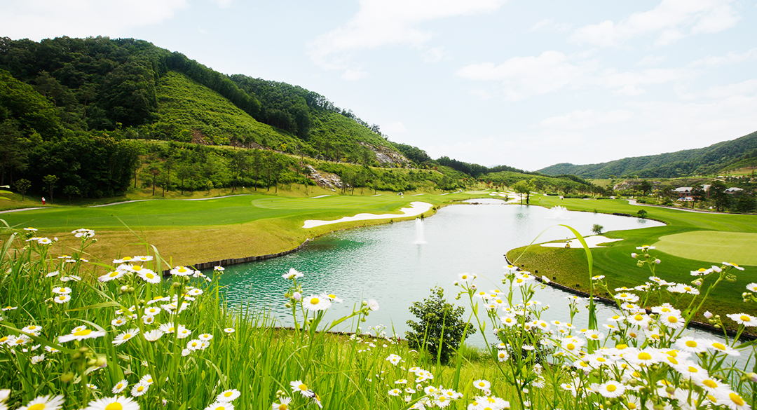 비발디파크컨트리클럽 골프장 예약 이미지 4