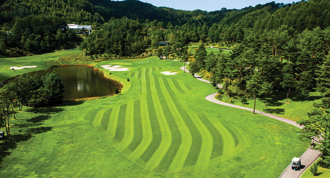 휘닉스컨트리클럽 골프장 예약 이미지 5