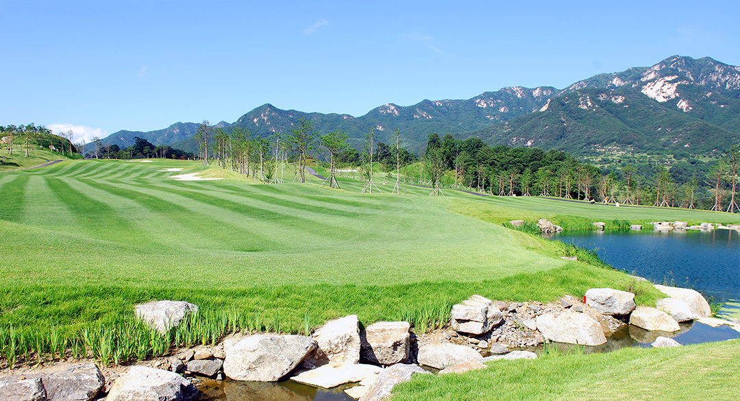 리앤리컨트리클럽 골프장 예약 이미지 4