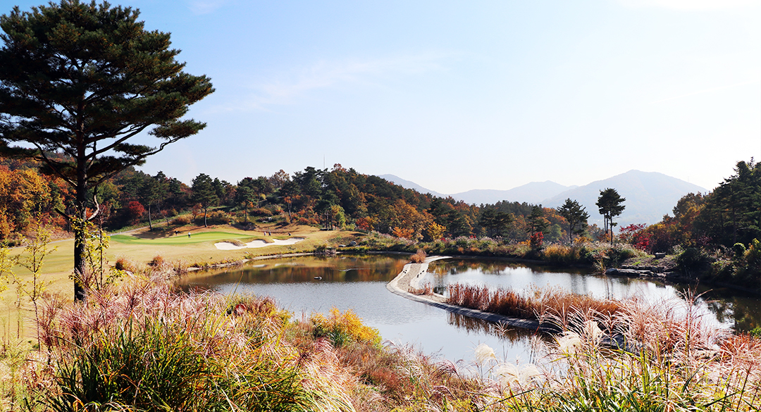 동촌골프클럽 골프장 예약 이미지 3