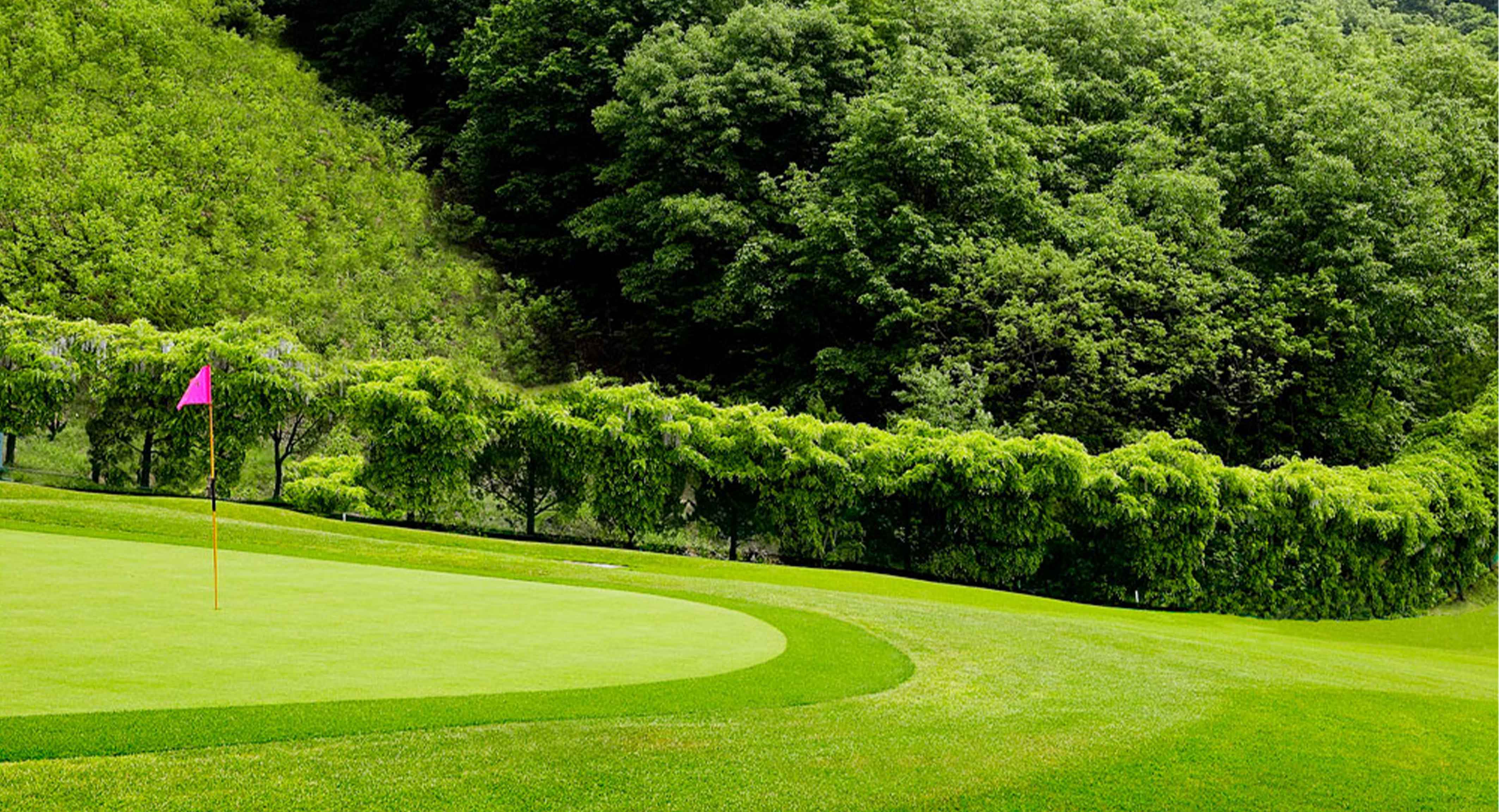 프린세스골프클럽 골프장 예약 이미지 8