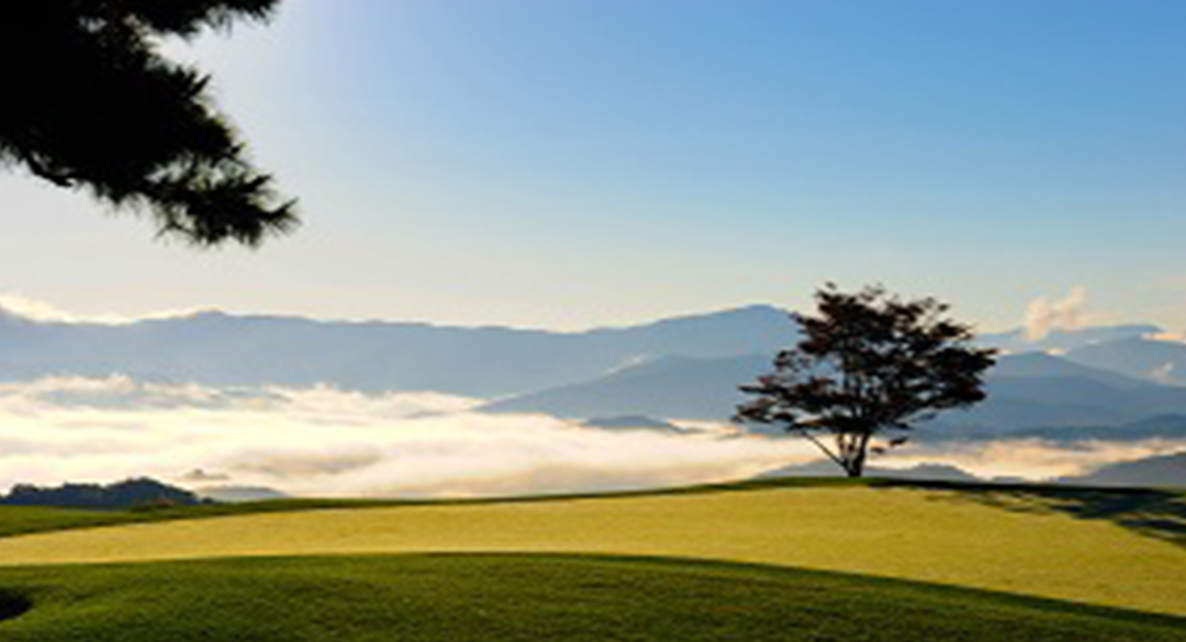 가평베네스트골프클럽 골프장 예약 이미지 6