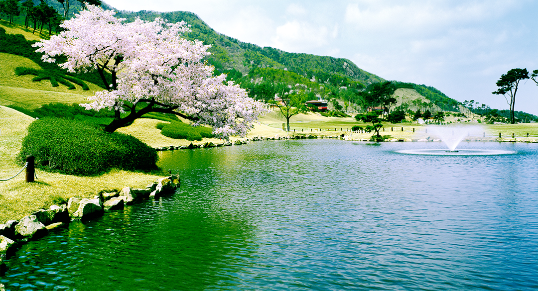 금산에딘버러컨트리클럽 골프장 예약 이미지 5