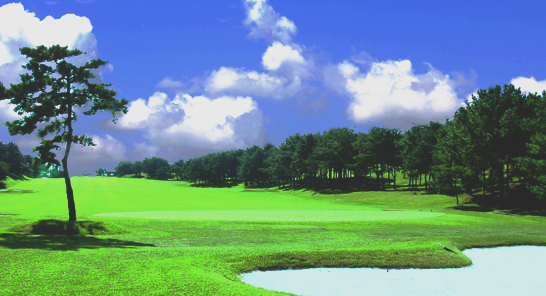 도고컨트리클럽 골프장 예약 이미지 1