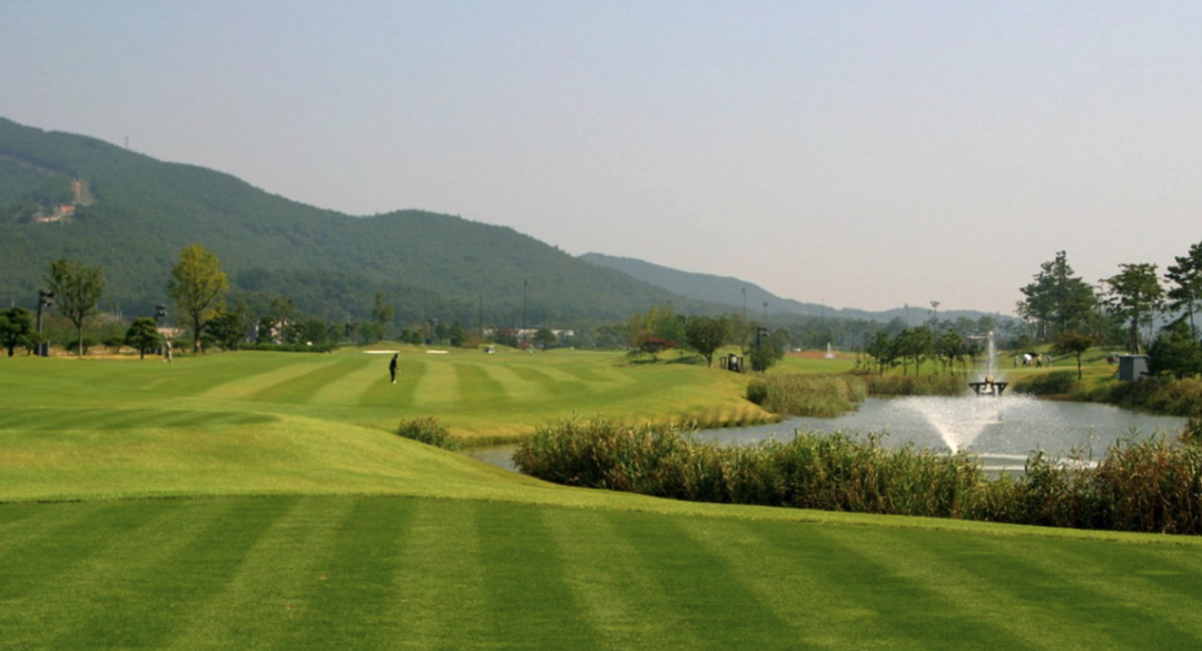 태안비치컨트리클럽 골프장 예약 이미지 2