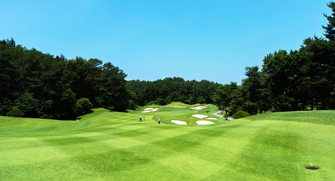 사우스스프링스컨트리클럽 골프장 예약 이미지 2