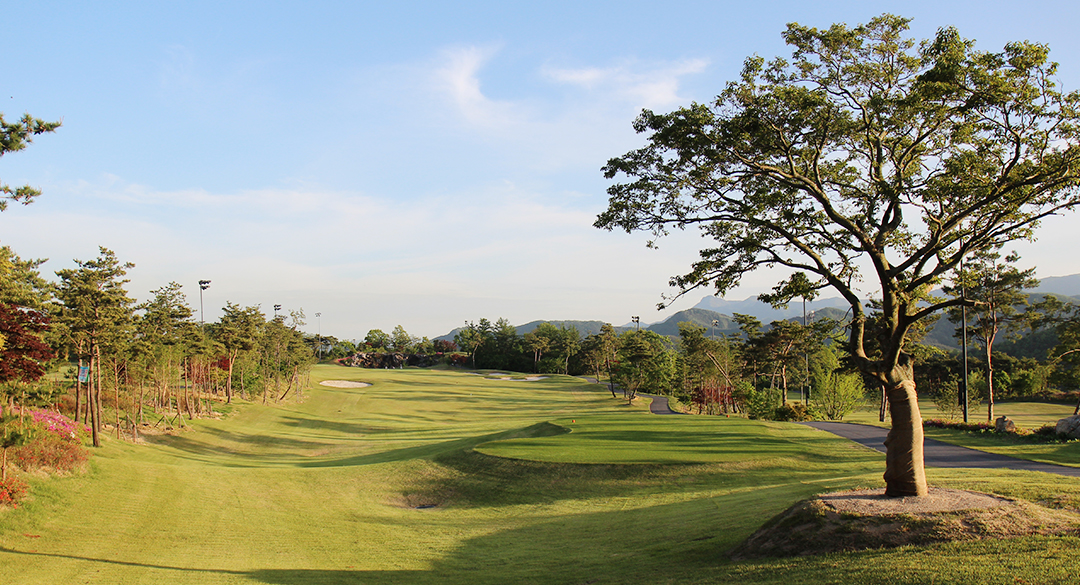대호단양컨트리클럽 골프장 예약 이미지 5