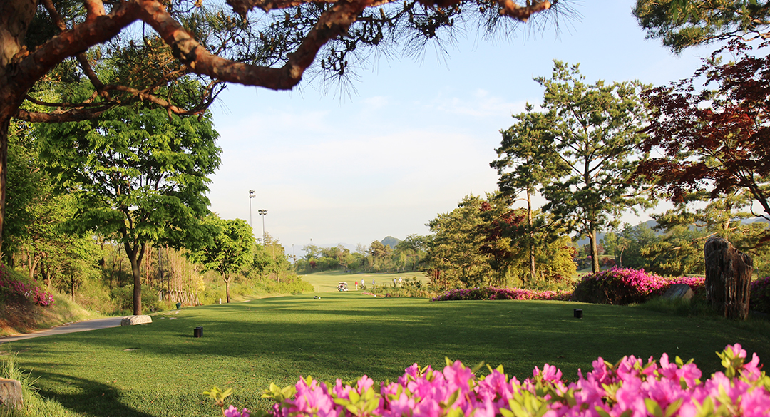 대호단양컨트리클럽 골프장 예약 이미지 4