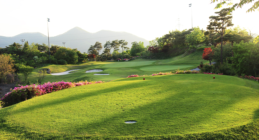 대호단양컨트리클럽 골프장 예약 이미지 2