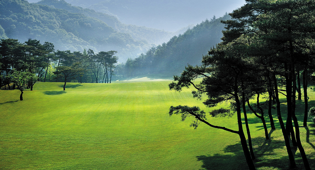 아난티중앙골프클럽 골프장 예약 이미지 4