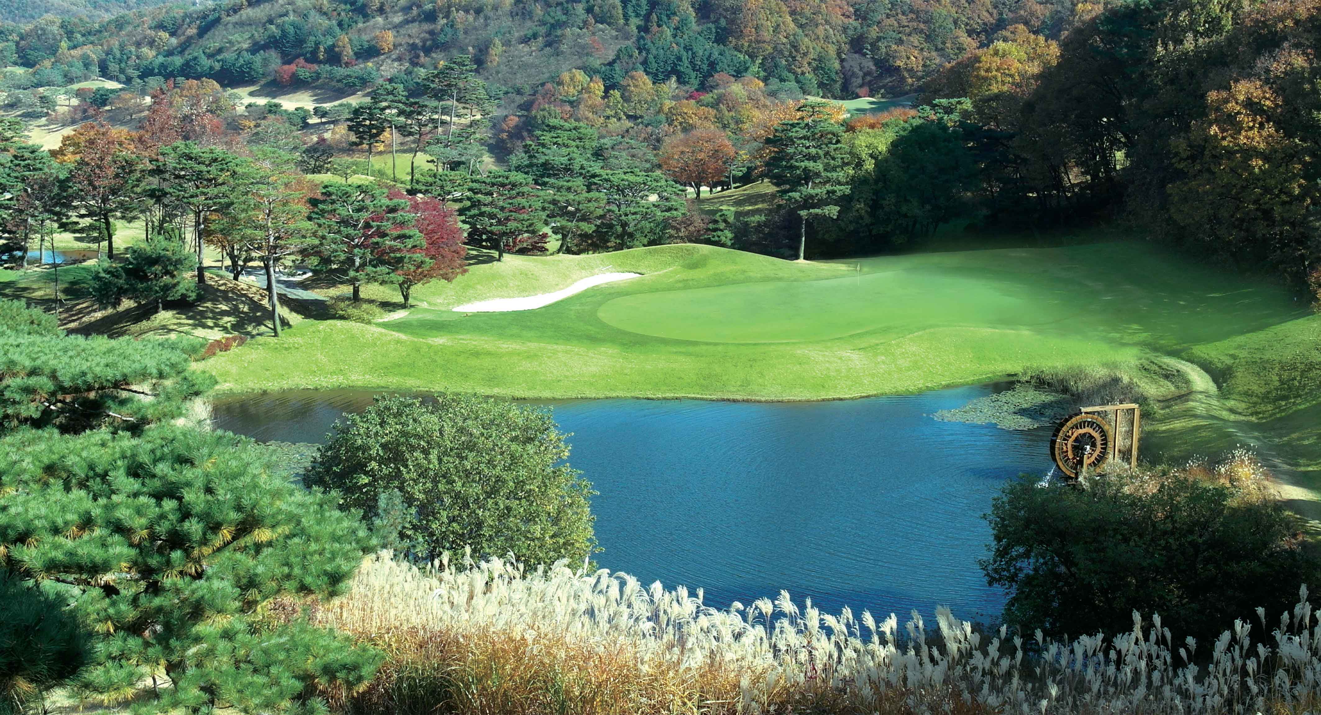 천룡컨트리클럽 골프장 예약 이미지 8