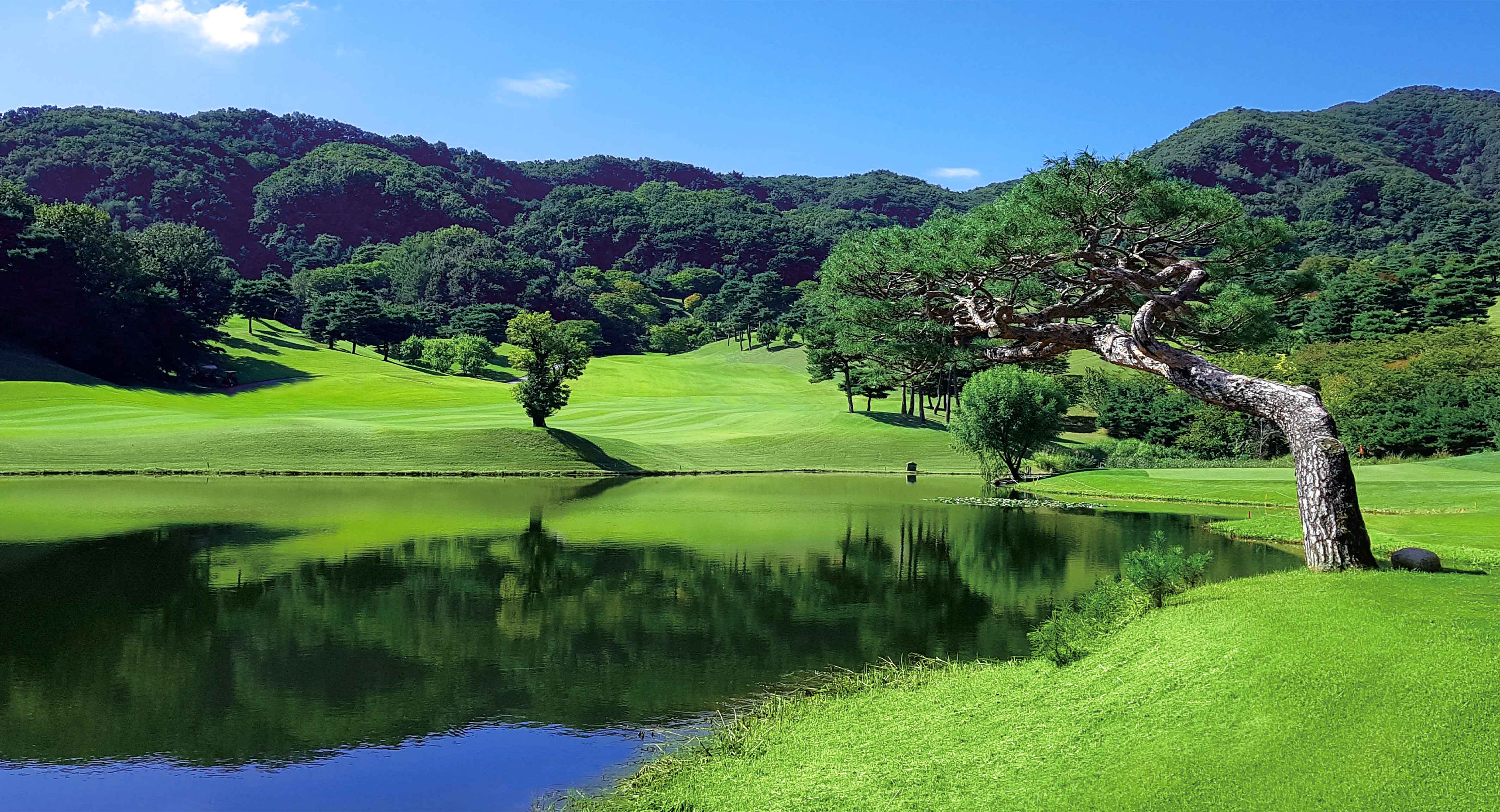 천룡컨트리클럽 골프장 예약 이미지 5