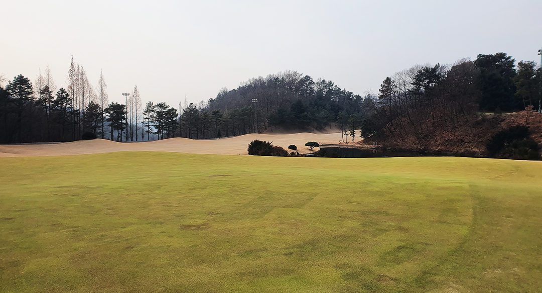 떼제베컨트리클럽 골프장 예약 이미지 5