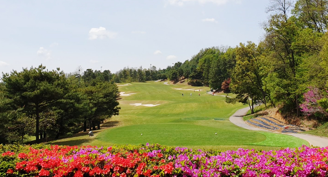 떼제베컨트리클럽 골프장 예약 이미지 4