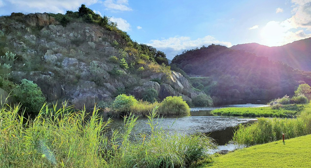 대영베이스컨트리클럽 골프장 예약 이미지 2