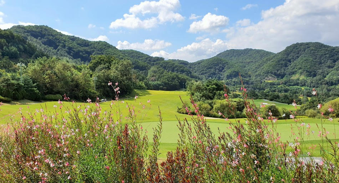 대영베이스컨트리클럽 골프장 예약 이미지 3